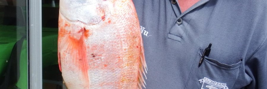  Johan Burmeister met sy 2.35kg Rooi Stomp